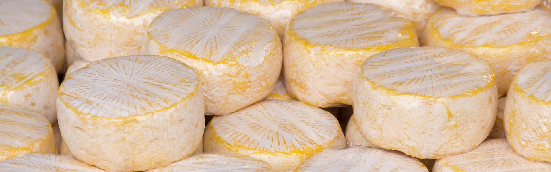 Weine zu Weich- und Sahnekäse